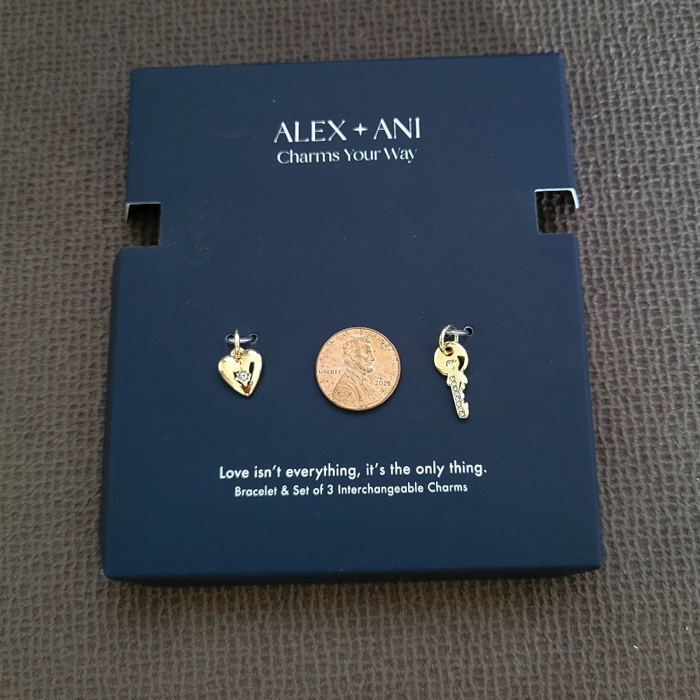 Alex and Ani "Love"❤️ Interchangeable🔄 Charm Stretch Bracelet - NIB - Picture 9 of 16